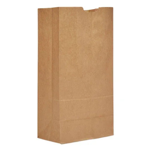 Grocery Paper Bags, 57 Lb Capacity, #20, 8.25 ” X 5.94 ” X 16.13 “, Kraft, 500 Bags